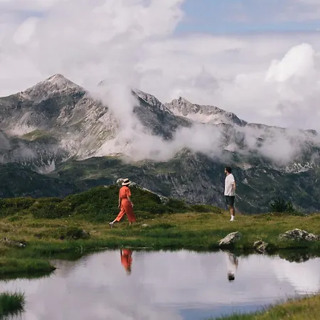 Steiner Superior فندق