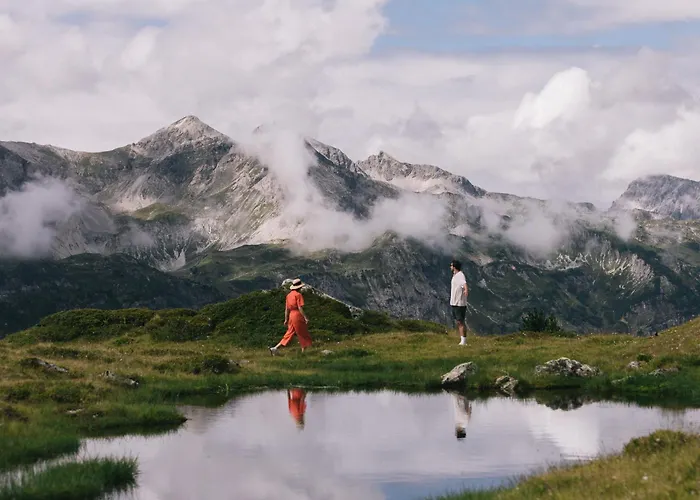 Steiner Superior Hotel