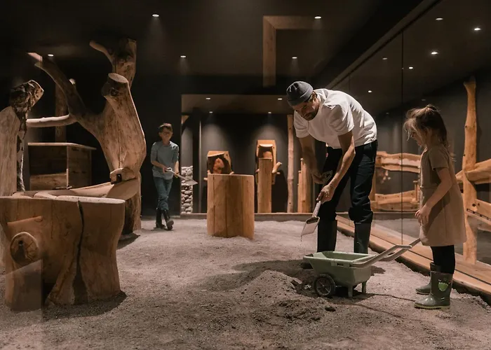 Steiner Superior Hotel